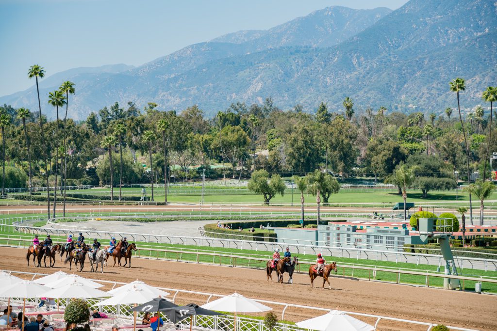 Santa Anita Park suspends racing "indefinitely" after 21 horse deaths