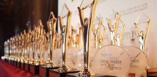 Gold Stevie Award goes to AGA for best communications campaign 2018
