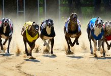 Colossus jackpots to complement AmWager’s SIS data deal Colossus