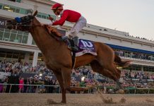 XB Net secures two-year contract extension with Spreadex