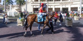 XB Net to deliver US horse racing to UK with JenningsBet partnership