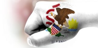 Fledgling Illinois sports betting market generates record wagers in November