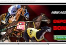 WatchandWager shows trading growth in Webis Holdings interims