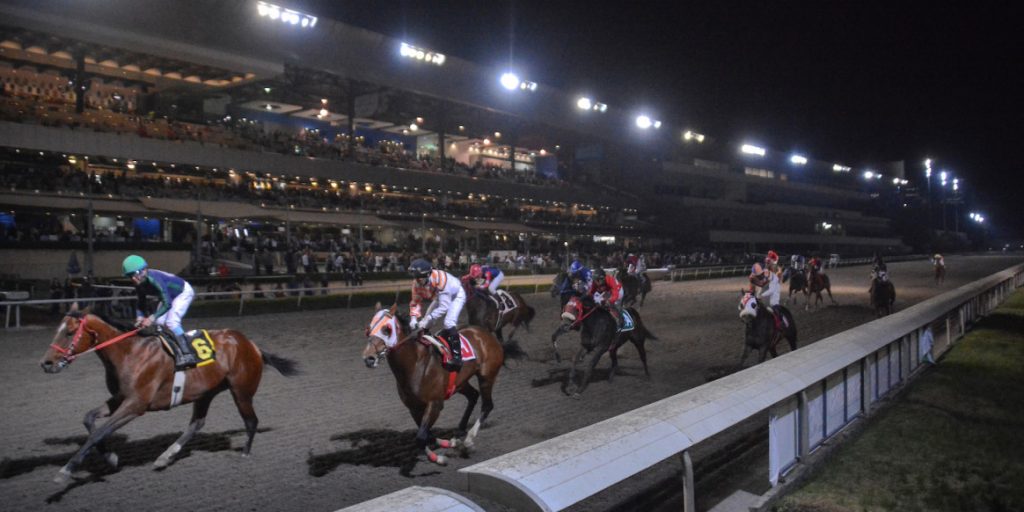 SIS and Codere link up to offer every horse race fixture from Mexico's ...