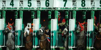 XB Net renews North American racing content deal with BoyleSports