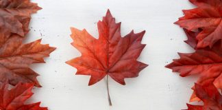 Online sportsbook and casino brand BetRegal has launched into the Canadian market by introducing BetRegal.net, a free-to-play sports experience.