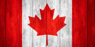 Online gaming operator PointsBet Canada has entered into a multi-year deal to become the sports betting partner of Dailyfaceoff.com and The Nation Network.