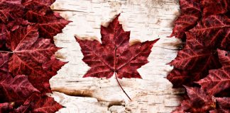 PointsBet Canada hires Dale Fallon as Senior Director of Product Online gaming operator PointsBet has hired Dale Fallon as Senior Director of Product of PointsBet Canada.
