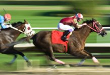The BetMGM Horse Racing mobile app is now live in three states following its launch in Florida and Louisiana this week.