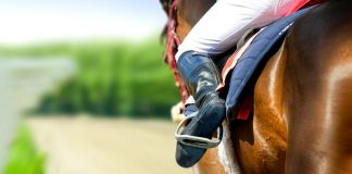 Global Tote ups commitment to National Horseplayers Championship