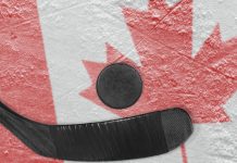 Sportradar to provide integrity support to Canadian Hockey League Sportradar Integrity Services has announced a multi-year education and bet monitoring services agreement with the Canadian Hockey League.