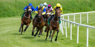 BetMakers receives fixed odds and data distribution deal extension with NJTHA BetMakers has signed an amended and restated fixed odds and data distribution deal with Darby Development and the New Jersey Thoroughbred Horsemen's Association.