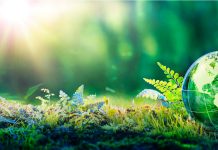 Bally’s unveils ESG committee as sustainability efforts intensify Bally’s Corporation has established a specialized committee within its board of directors to develop the firm’s long-term Environmental, Social and Governance (ESG) strategy