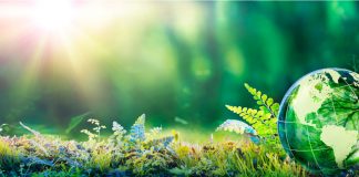 Bally’s Corporation has established a specialized committee within its board of directors to develop the firm’s long-term Environmental, Social and Governance (ESG) strategy