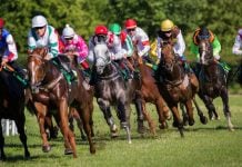 BetMakers’ Global Racing Network is now distributing horse racing from two of Canada’s premier racetracks to globally licensed fixed-odds wagering operators.