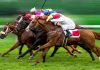 Sports Information Services (SIS) has extended its deal with Codere to distribute its live racing channels to the operator’s customer base in Argentina.