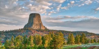 FanDuel Group has announced the launch of its sportsbook app in the state of Wyoming.