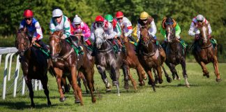 Racing and Sports expands Sky Racing World partnership to cover North America Racing and Sports Pty has expanded its integrated form and vision partnership with Sky Racing World to cover the North American market.