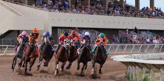 Webis signs Cal Expo lease extension and Arizona Harness Racing contract Webis, the operator of WatchandWager Cal Expo, has signed a deal to run Harness Racing at Arizona Downs and has confirmed that it