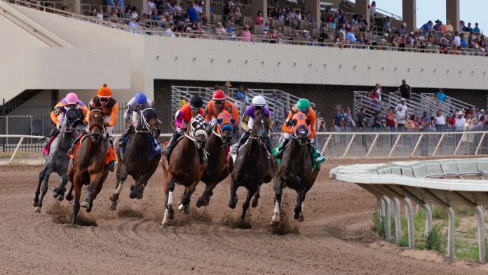 Webis, the operator of WatchandWager Cal Expo, has signed a deal to run Harness Racing at Arizona Downs and has confirmed that it