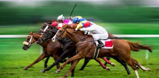 Total Performance Data secures four new US racetrack deals Total Performance Data (TPD) has expanded its reach in the US racing space as it confirmed deals with four new racetracks - Gulfstream Park, Horseshoe Indianapolis, Lone Star Park and Hoosier Park.
