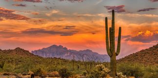 Arizona sportsbooks set new handle record of $691m in March Arizona’s sportsbooks managed to set a new handle record in March, as the Arizona Department of Gaming (ADG) has reported wagers came in just shy of $691m.