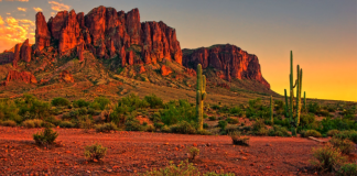 Arizona sportsbooks set new state taxes record in May Arizona’s sports wagering handle continued to dip in May, but the state did accomplish a new record in state taxes during the same month.