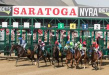 NYRA 1/ST Horse Content