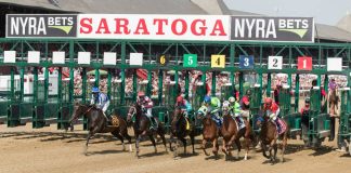 NYRA 1/ST Horse Content