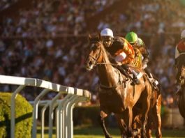 Racing and Sports has continued on its path of North American expansion, announcing a partnership with the FanDuel-owned advance-deposit wagering platform TVG