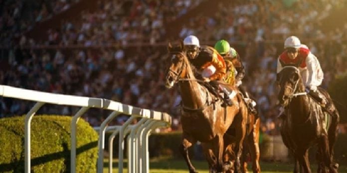 Racing and Sports has continued on its path of North American expansion, announcing a partnership with the FanDuel-owned advance-deposit wagering platform TVG