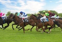 Sports Information Services (SIS) has expanded its partnership with NetBet to deliver horse racing content to the operator via its 24/7 Live Betting Channels