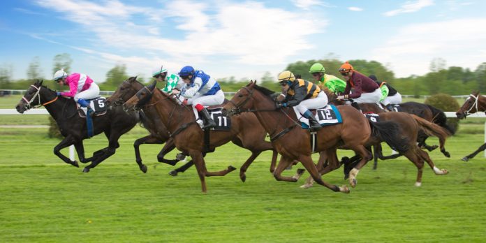 Sports Information Services (SIS) has expanded its partnership with NetBet to deliver horse racing content to the operator via its 24/7 Live Betting Channels