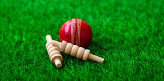 Sportradar and the Caribbean Premier League have announced a new partnership agreement that will capture and distribute cricket data.