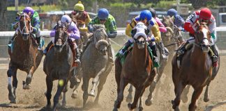 XB Net, a provider of North American racing content, has renewed its existing distribution deal with the UK Tote Group, the operator of the UK Tote.