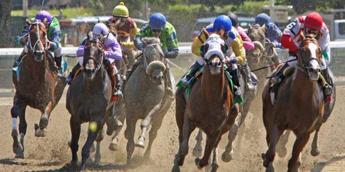 XB Net, a provider of North American racing content, has renewed its existing distribution deal with the UK Tote Group, the operator of the UK Tote.