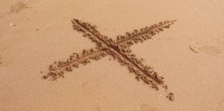 Xpoint first year recap Cheeseman
