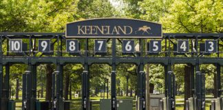 Keeneleand racetrack starting gate