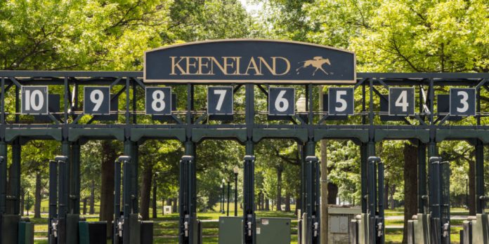 Keeneleand racetrack starting gate