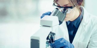 Bills in WV and MD aim to audit sports betting content creators and touts Woman looking through microscope