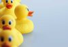 Odds on Compliance asks: Hey retail sportsbooks – are you federally compliant? Ducks in a row with one facing the wrong direction