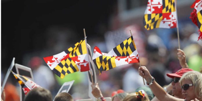 Maryland state flags waving in a crowd