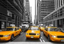 New York taxis