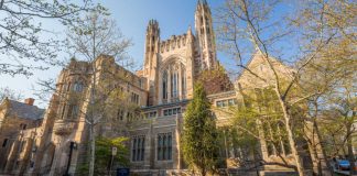 Bill banning CT sports betting operators marketing on college campuses passes committee Yale University, Connecticut