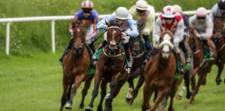 SIS expands Latin American racing position with Chilean Gran Premio Hipódromo sponsorship horse racing