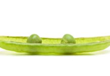 Betr brings on Cavinder Twins to boost media efforts Two peas in a pod on white background