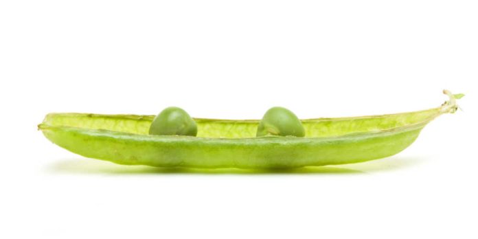 Two peas in a pod on white background