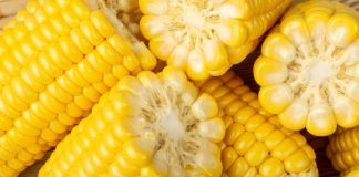 Bet365 expands into fifth state with Iowa launch Five ears of corn