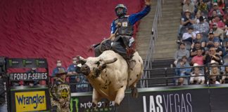 Professional Bull Rider
