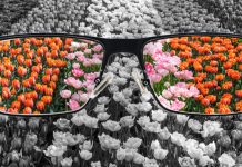 different perspectives in glasses